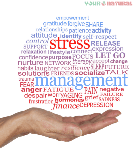 How to boost testosterone naturally – stress and hormone management word cloud.