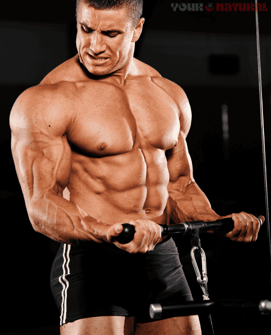 How to boost testosterone naturally – muscular man lifting weights in the gym